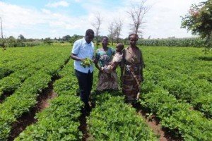 Josey Kamanda conducting fieldwork research