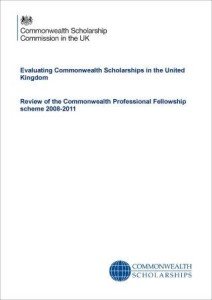 evaluation-review-professional-fellowships