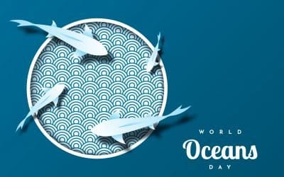World Oceans Day 2020: How research leads the way in protecting oceans and marine ecology