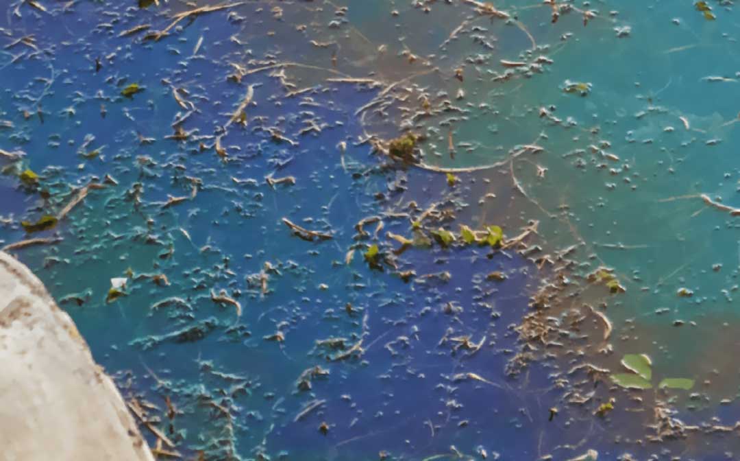 Contaminated Water