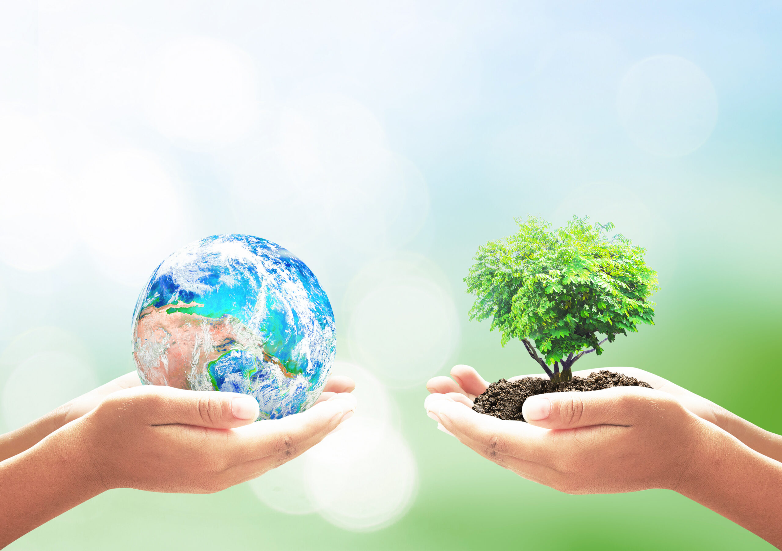 Two pair of hands, one holding the Earth and the second holding a tree