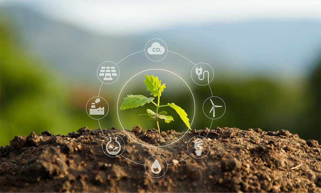 Seedling growing in soil mound surrounded by sustainable energy icons.
