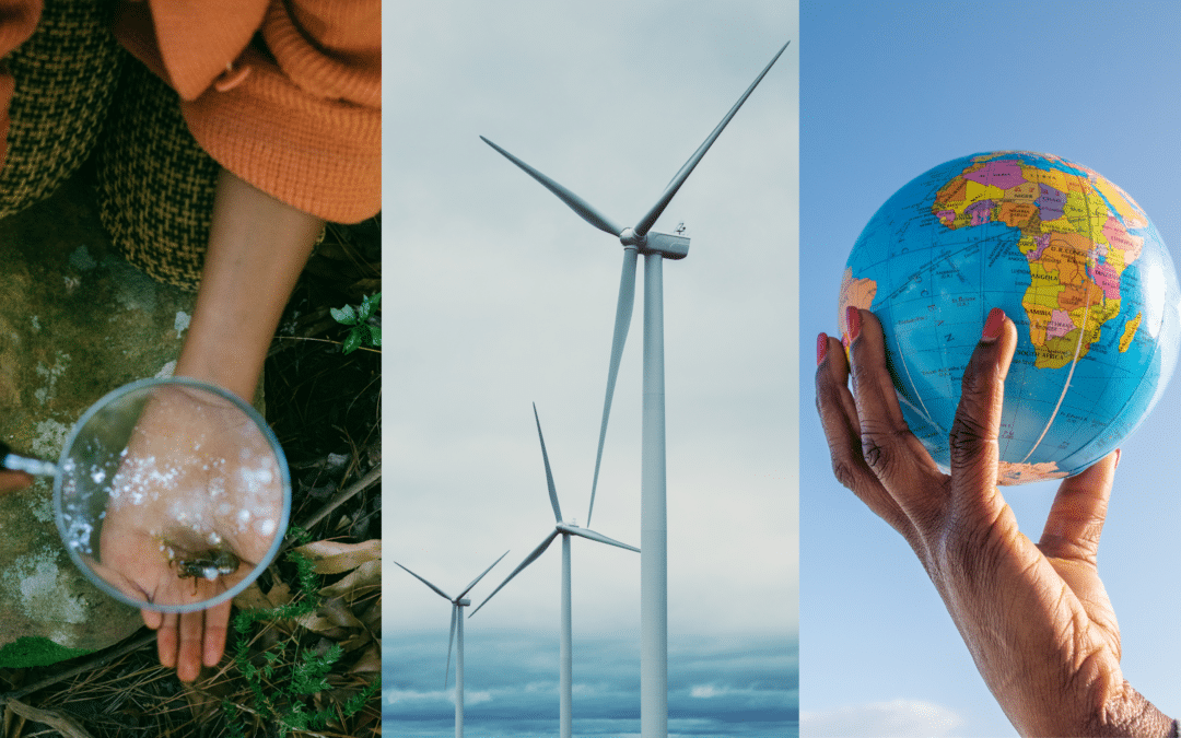 Images showing close-up of a person holding plants under a magnifying glass, view of wind turbines, and a hand holding up a world globe.