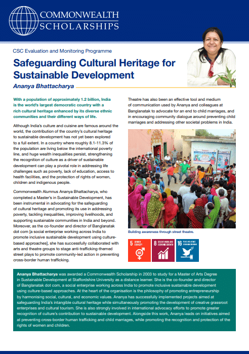 Safeguarding Cultural Heritage for Sustainable Development Screenshot