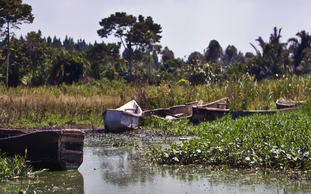 Uncovering renewable energy sources in Uganda’s Lake Victoria