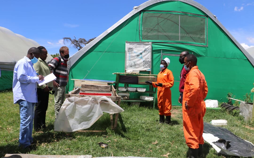 Insect Technology for Sustainable Fish Farming and Waste Management in Kenya