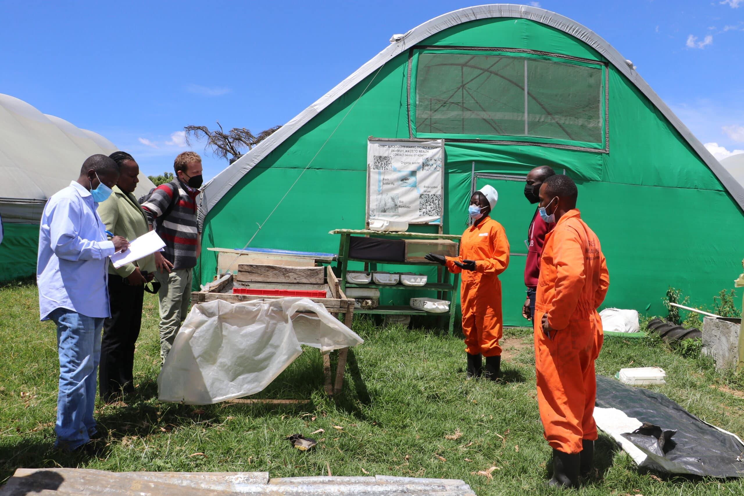 Insect Technology For Sustainable Fish Farming And Waste Management In 