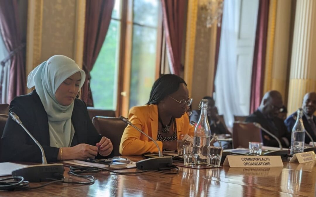Addressing Commonwealth leaders on higher education and youth engagement