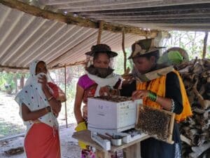Women beekeepers with a bee box
