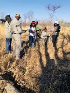 Group of environmentalists conducting field research in Mudumu National Park