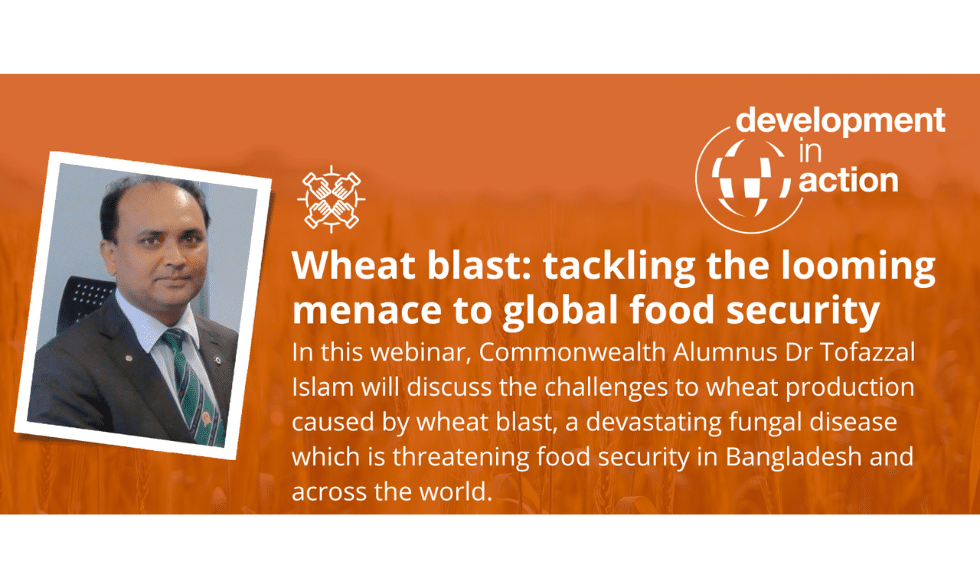 Development in Action webinar series: Breadbasket in peril – strategies to combat wheat blast for food security