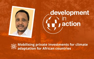 Development in Action webinar series: Mobilising private investments for climate adaptation for African countries