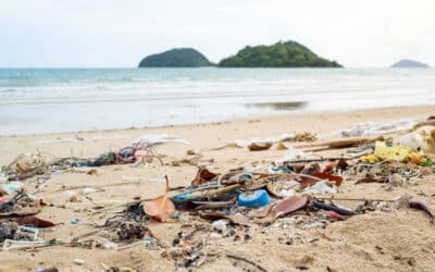 Microplastic and nanoplastic pollution: promoting actionable strategies to save oceans in India