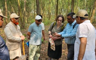 Driving UK-Global Partnerships through Commonwealth Scholarships