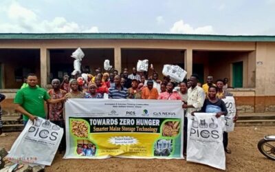Safer maize storage, stronger harvests in Ghana